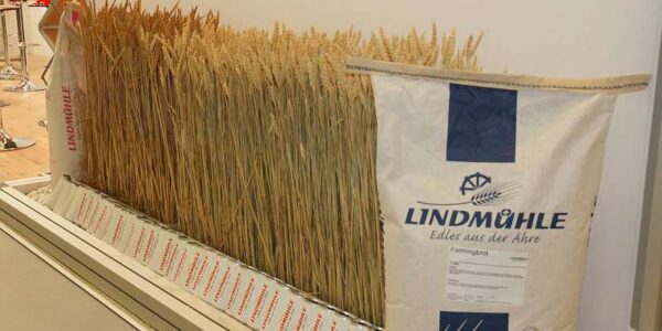 FBK Lindmühle